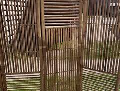 skärmväggar i bambu
