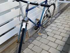Herr cykel  Rex