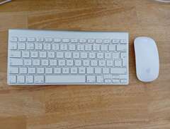 Apple tangentbord och mus