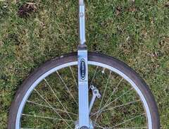 Enhjuling (Schwinn)