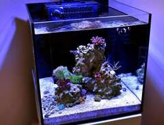 Akvarium Red Sea Reefer Nano