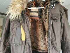 Parajumpers strl S