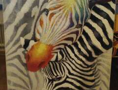 Zebra oljemålning/canvas/fi...