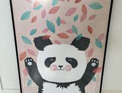 inramad tavla m panda 50x70 cm
