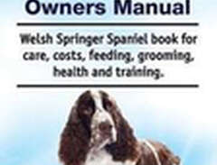 Welsh Springer Spaniel Comp...