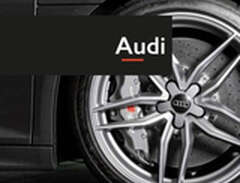 Fälglås till Audi fälgar Ri...