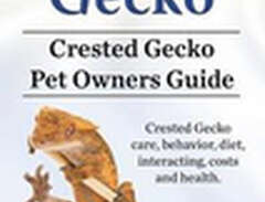 Crested Gecko. Crested Geck...