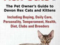 Devon Rex Cats The Pet Owne...