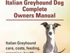 Italian Greyhounds. Italian...
