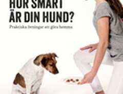 Hur Smart Är Din Hund - Pra...