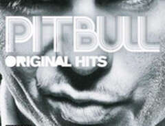 Pitbull: Original hits 2004-07