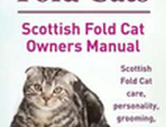Scottish Fold Cats. Scottis...